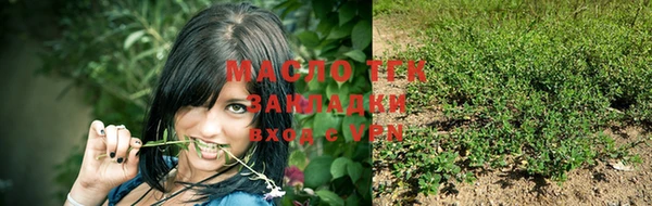 молекула духа Верхний Тагил