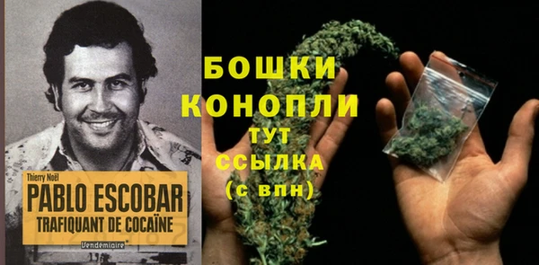 прущая мука Богданович