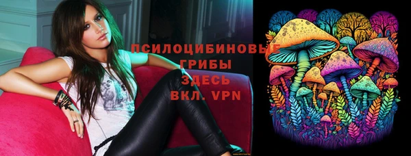 а пвп мука Верея